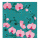 Tissu microfibre pour lunettes - Belle Vue