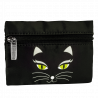  Black Cat