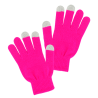 Rosa  Rosa