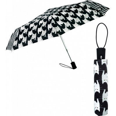 Parapluie - Parapli - Cha Cha Cha