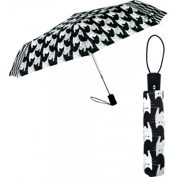 Parapluie - Parapli Cha Cha Cha