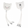  White Cat