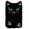  Black Cat