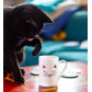 Kaffeebecher 30 cl - Schluck