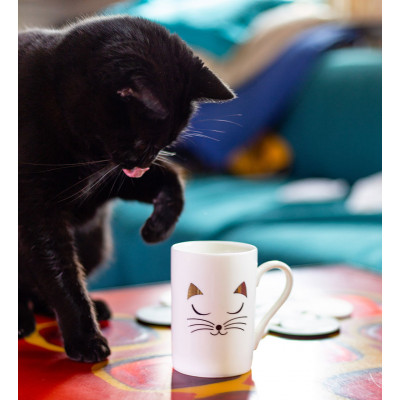 Tazza mug 30 cl - Schluck