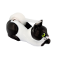  Chat noir et blanc