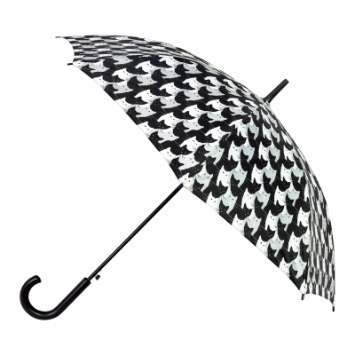 Parapluie - Rainbeau - Cha Cha Cha