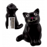  Schwarze Katze