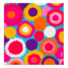  Pompon