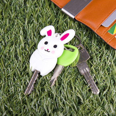 Key cover - Ani-cover