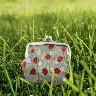 Purse with clasp close - Clipurse