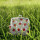 Portamonete con chiusura clic clac - Clipurse