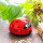 Ramasse miettes - Aspirateur de table - Aspimiette