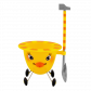  Canard