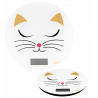 White Cat  White Cat