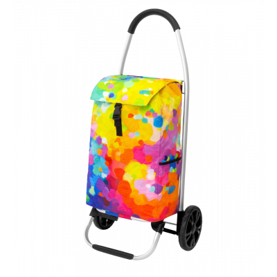 Chariot de courses - Trolly - Palette