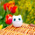 Mini enceinte bluetooth - Sing song