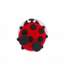  Coccinella