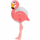  Flamingo