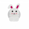 Hase