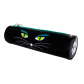  Black Cat