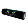 Black Cat  Black Cat