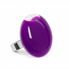  Viola