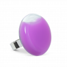  Mallow purple