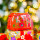 Tostapane vintage - Tart'in - Jardin fleuri