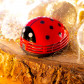 Ramasse miettes - Aspirateur de table - Aspimiette