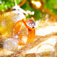 Montre slap - Funny Time Jelly Fish