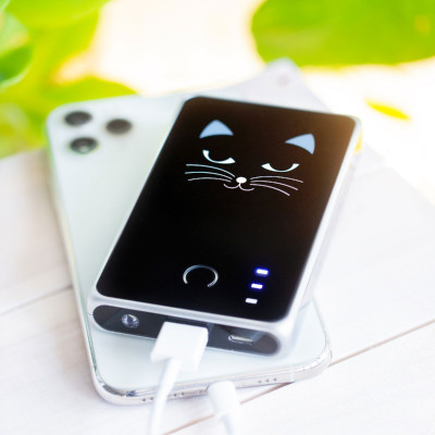 Batterie externe nomade 5000mAh - Get The Power 3