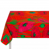  Coquelicots