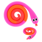  Rosa