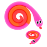  Rosa