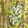 Kulturbeutel - Small Tidy - Camouflage Green