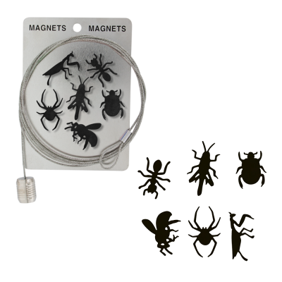 Set - 1 Câble porte photos et magnets & 1 Magnet