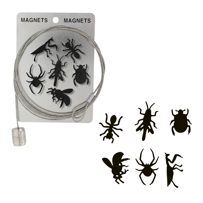 Set - 1 Câble porte photos et magnets & 1 Magnet