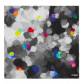 Microfibre cloth for glasses - Belle Vue Songe de Printemps