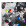  Black Palette
