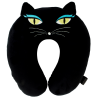  Black Cat
