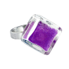  Viola