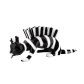  Zèbre