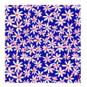 Microfibre cloth for glasses - Belle Vue London