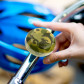 Fahrradklingel - Atmosphère Camouflage Blue 