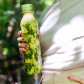 Thermoskanne 75 cl - Keep Cool Bottle Jardin Fleuri Gold