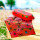 Hard glasses case - Voyage
