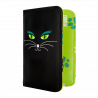  Black Cat