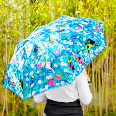 Parapluie - Parapli
