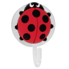  Coccinella